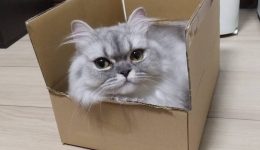 30630